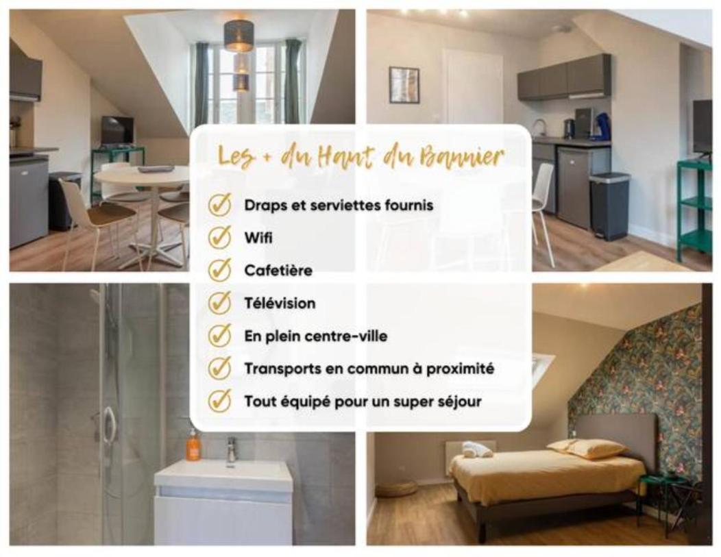 Апартаменти Le Haut Du Bannier * T2 * Hyper Centre * Wifi * Орлеан Екстер'єр фото
